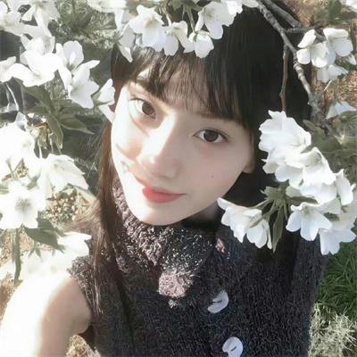 美女与猎犬
